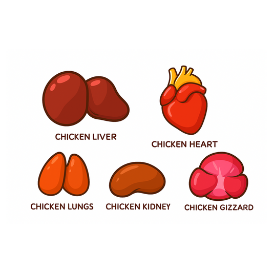 Nutrition Toppers For Dogs