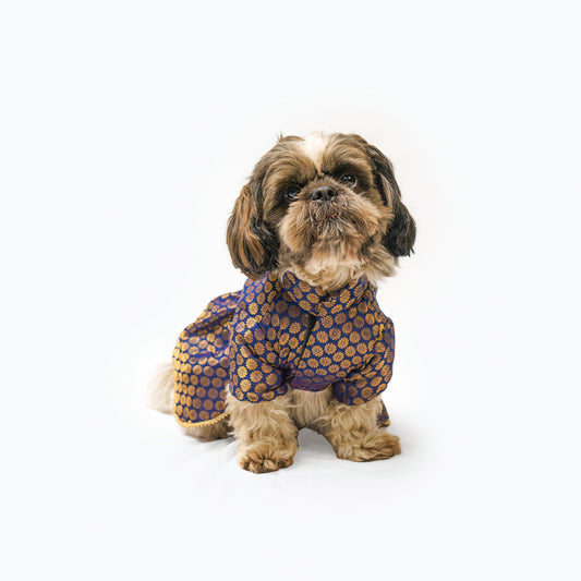 Pawgy Pets Occasion wear Dress Navy for Dogs