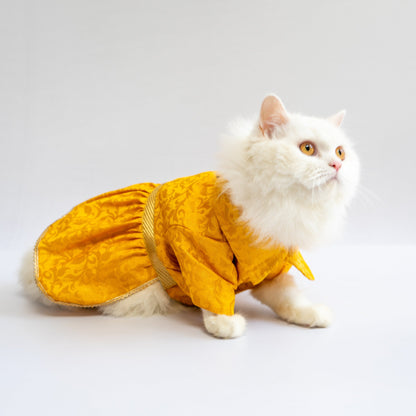 Pawgy Pets Occasion wear Dress Yellow for Dogs