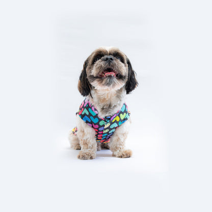Pawgy Pets Multi heart Sando for Dogs