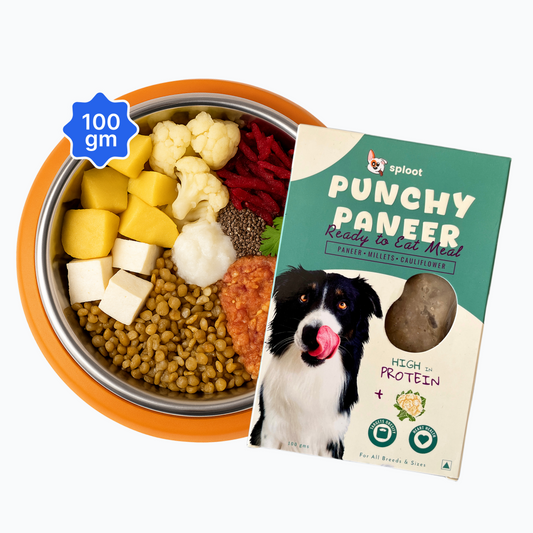 Punchy Paneer Dog Food - 100g