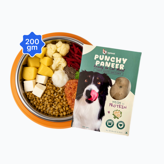 Punchy Paneer Dog Food Subscription (200gm)