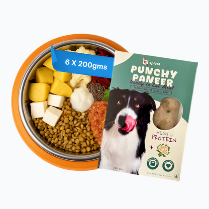 Punchy Paneer Dog Food