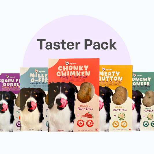 Mixed Recipe Extravaganza | Taster Pack | Dog Food