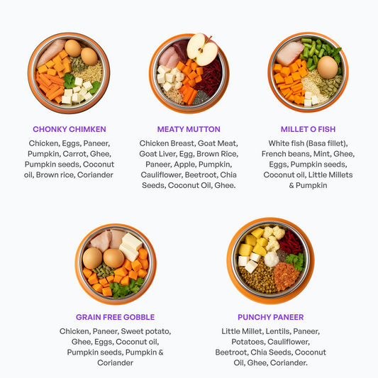 Mixed Recipe Extravaganza | Taster Pack | Dog Food