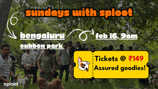 Bengaluru Community Walk - Sploot