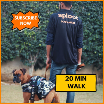 Dog Walking Basic Subscription (20 Mins) in Ahmedabad - Sploot