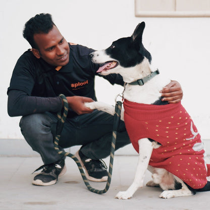 Dog Walking Premium Subscription (40 Mins) - Ahmedabad - Sploot