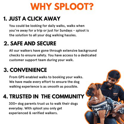 Dog Walking Premium Subscription (40 Mins) - Ahmedabad - Sploot