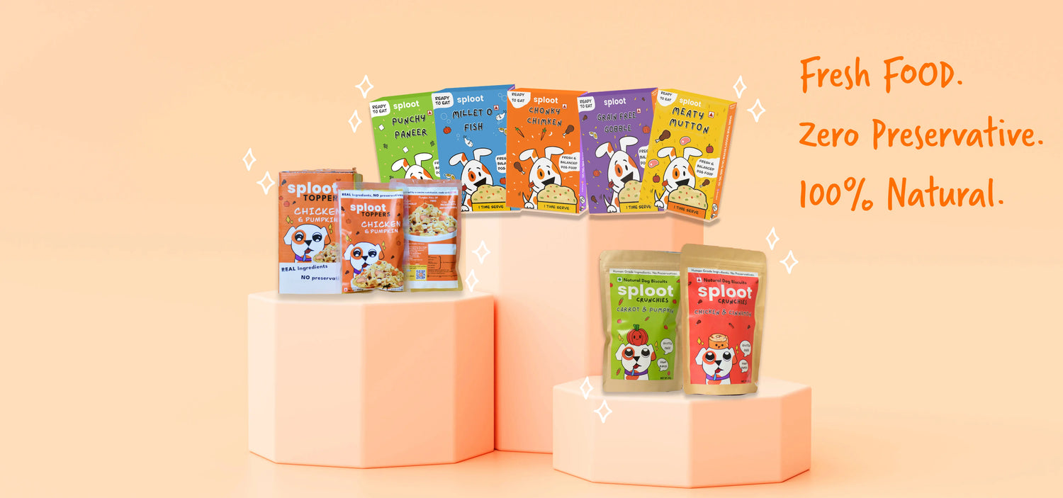 Buy Fresh Dog Food Online in Mumbai Sploot