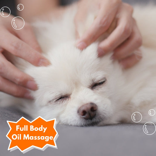 Full Body Oil Massage - Sploot