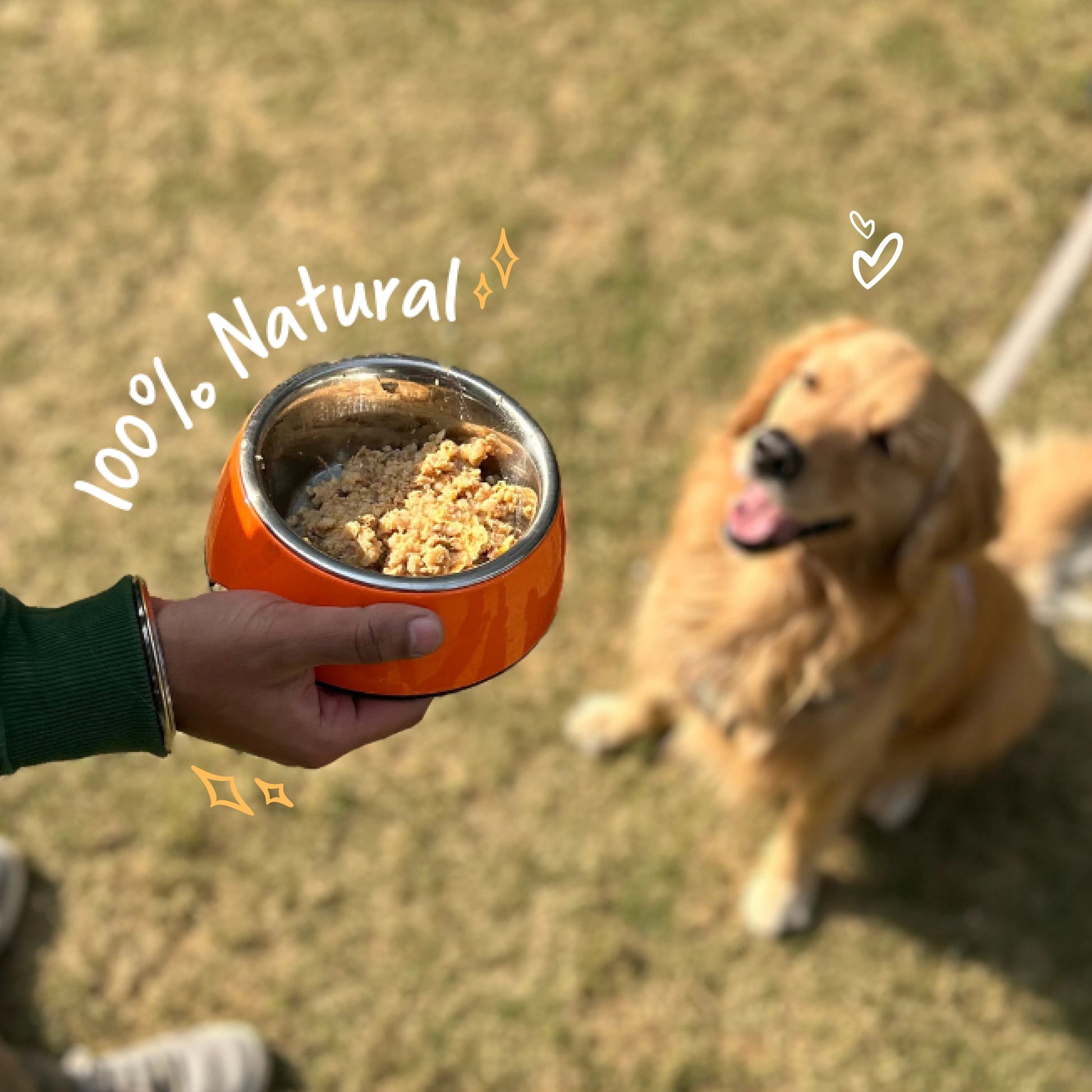 Grain free golden retriever best sale