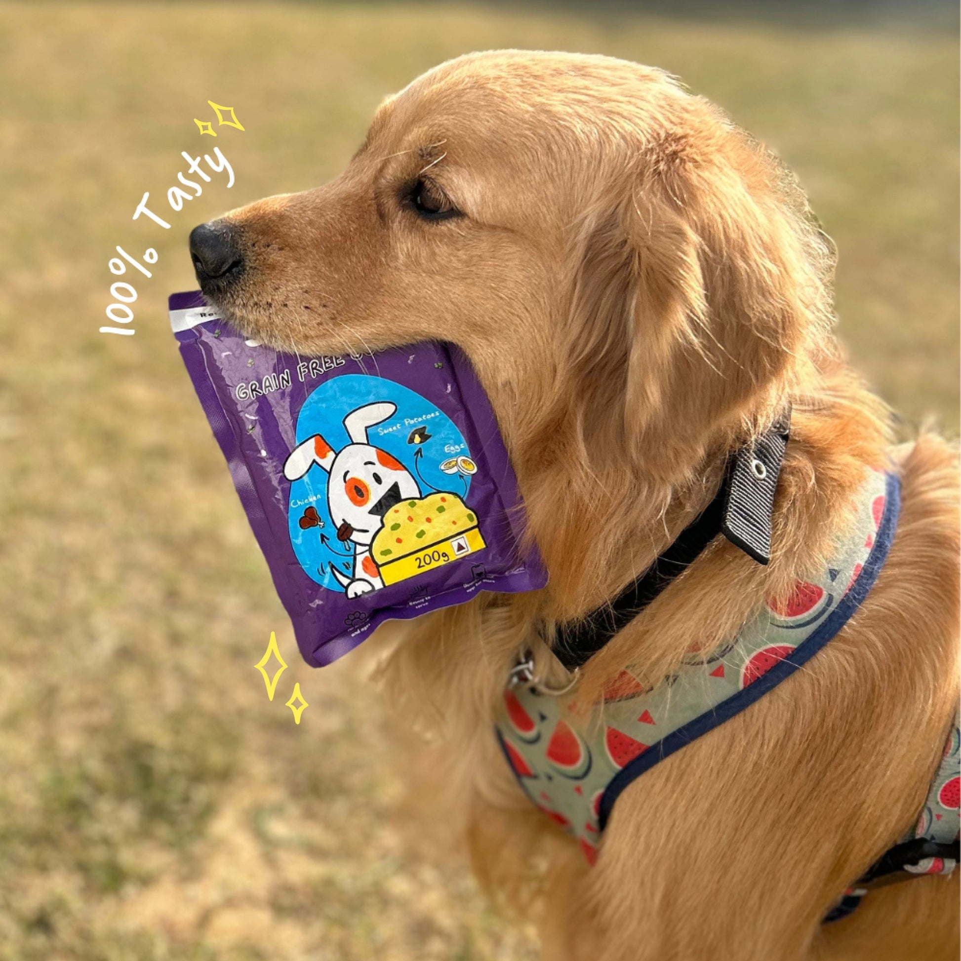 Grain free diet golden retriever best sale