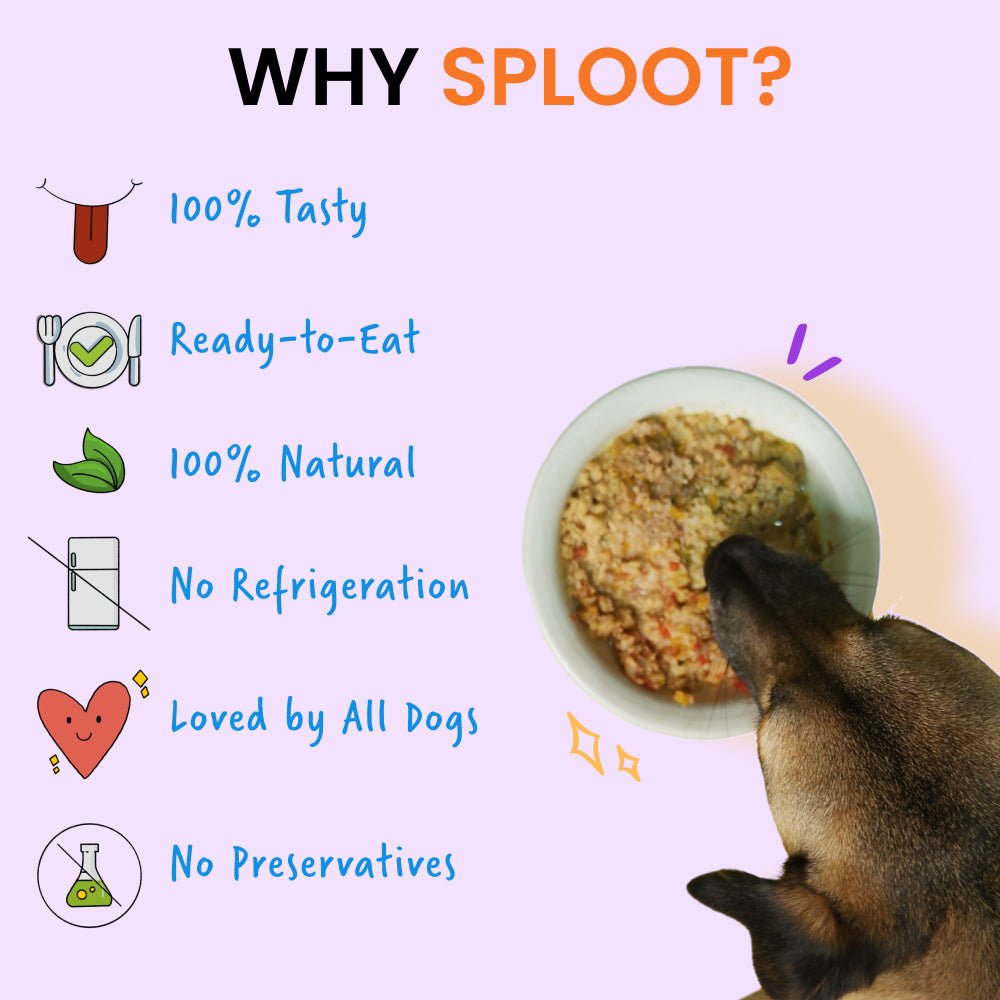 Grain free Gobble Fresh Dog Food | Sploot 30 Day Subscription - Sploot