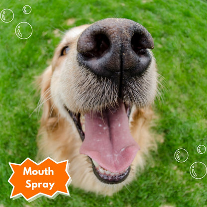 Mouth Spray - Sploot