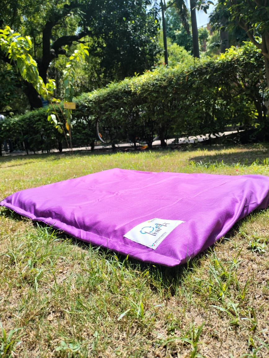 Dog Beds by Phirban