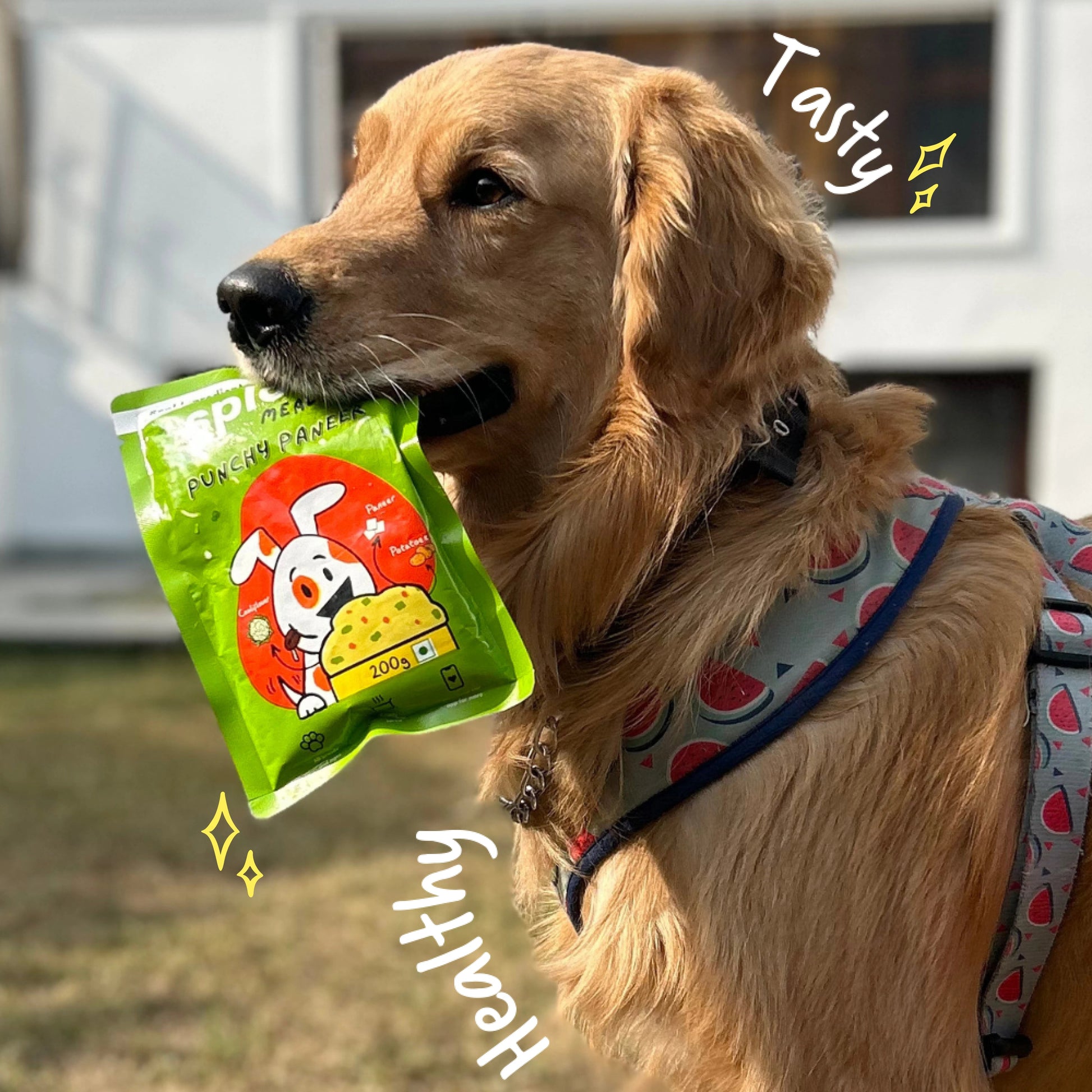 Punchy Paneer | 100% Fresh Dog Food - Sploot