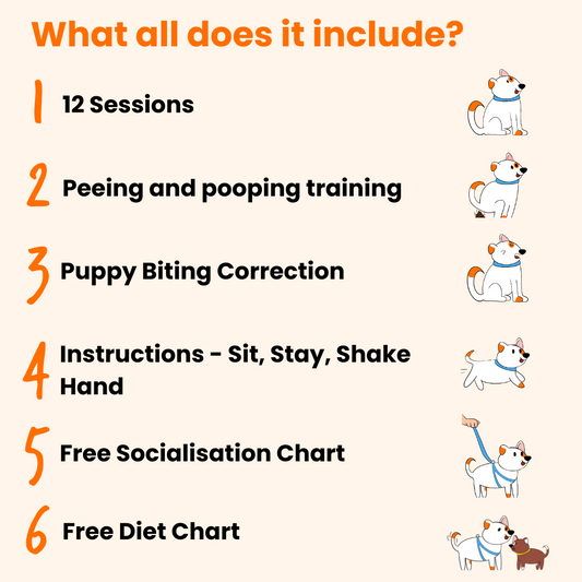 Puppy Dog Training