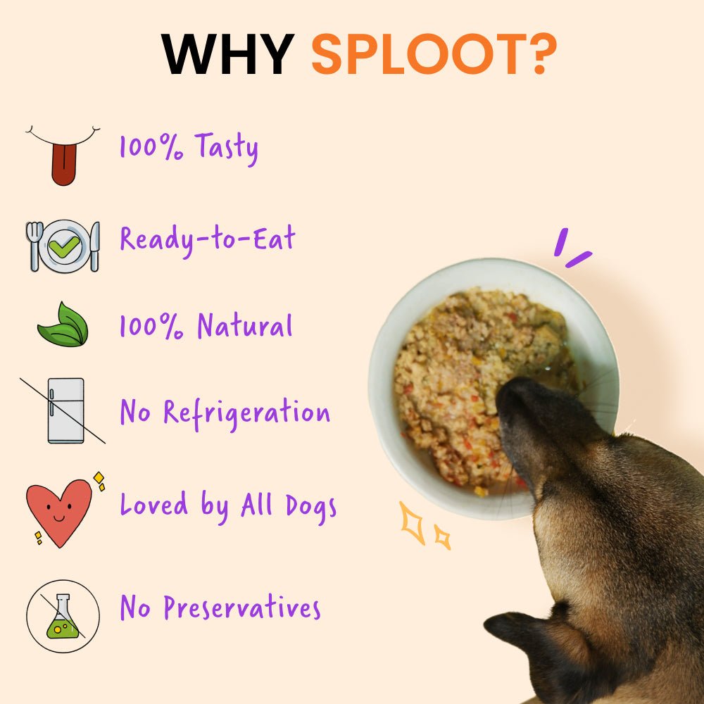 Sploot Chonky Chimken Fresh Dog Food | 30 Day Subscription - Sploot