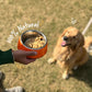 Sploot Chonky Chimken Fresh Dog Food | 30 Day Subscription - Sploot