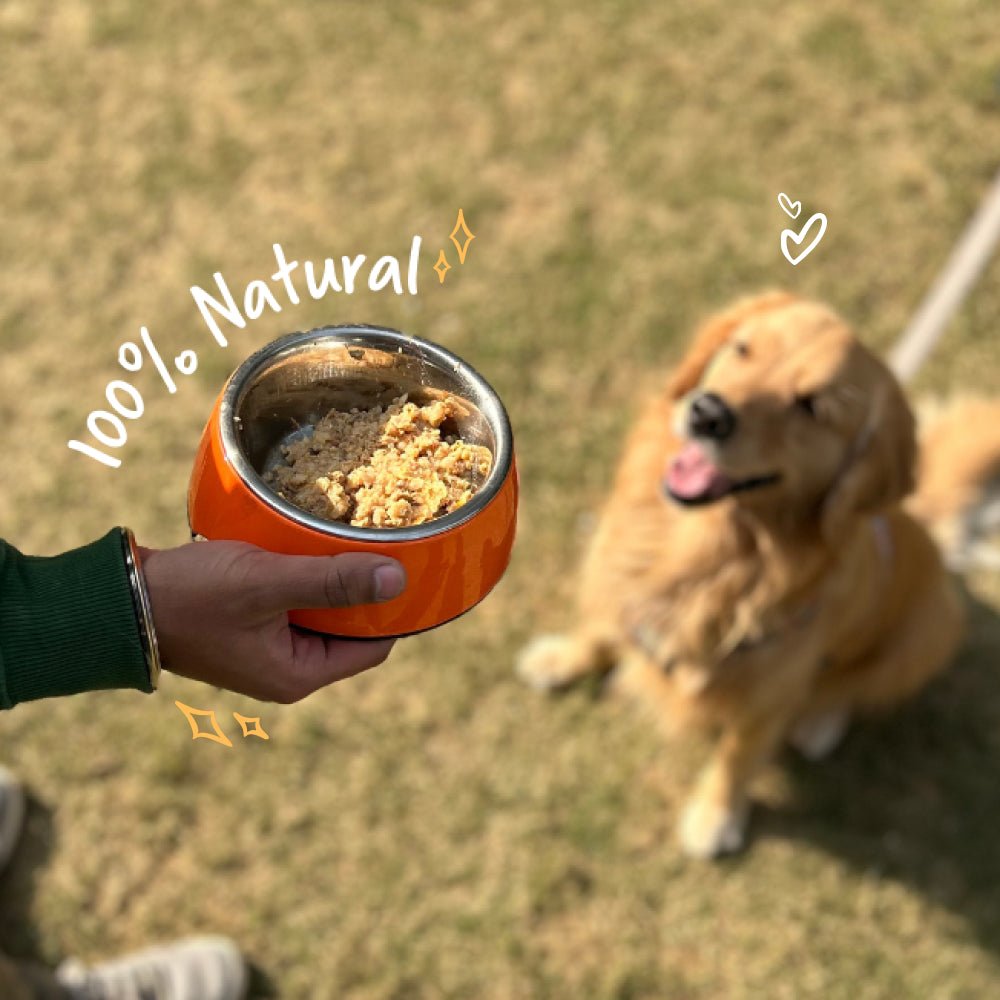 Sploot Chonky Chimken Fresh Dog Food | 30 Day Subscription - Sploot