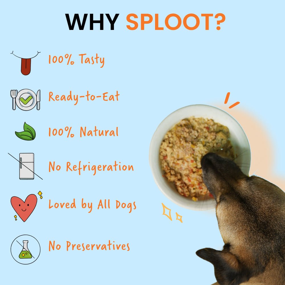 Sploot Millet - o - Fish Fresh Dog Food | 30 Day Subscription - Sploot