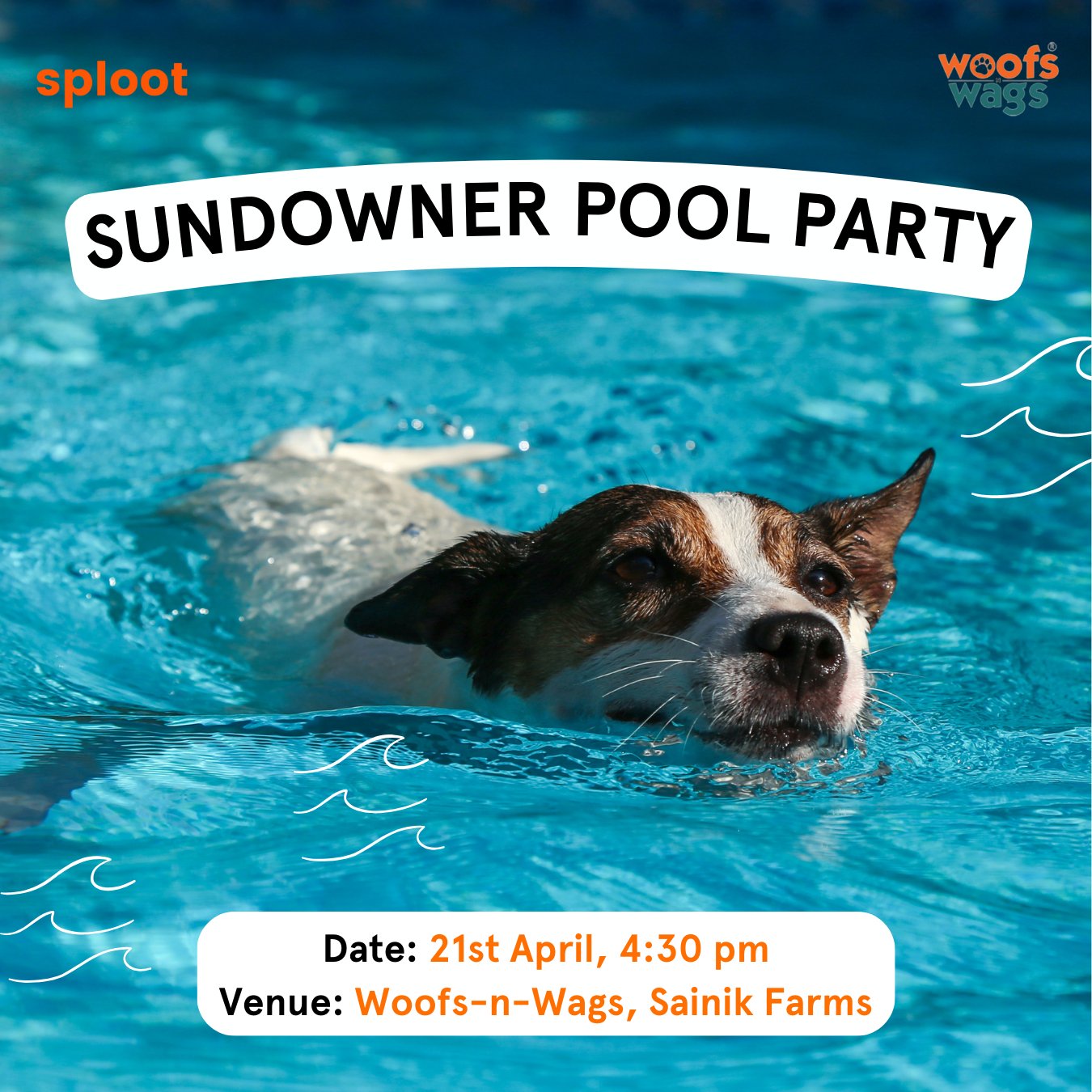 Sundowner Pool Party | 21st April (4:30 pm) - Sploot