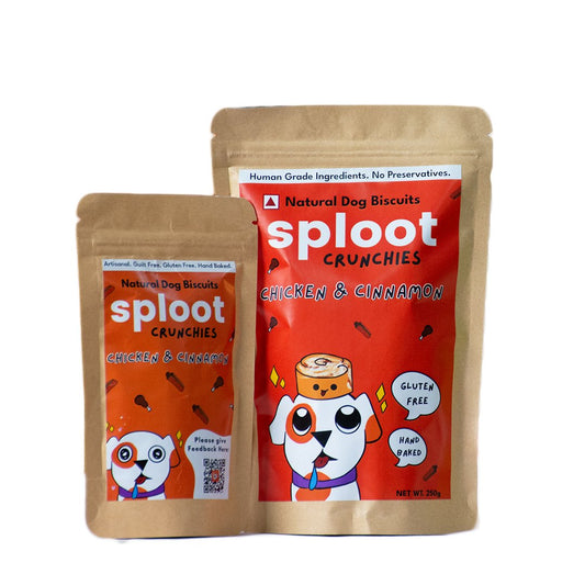 Welcome Package - Sploot