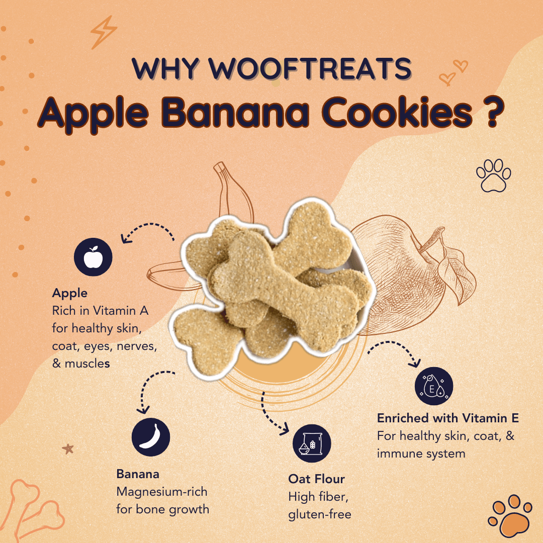 Wooftreats | Apple Banana Cookies - Sploot