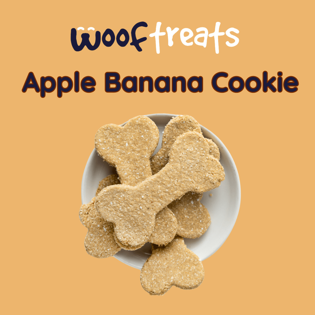 Wooftreats | Apple Banana Cookies - Sploot