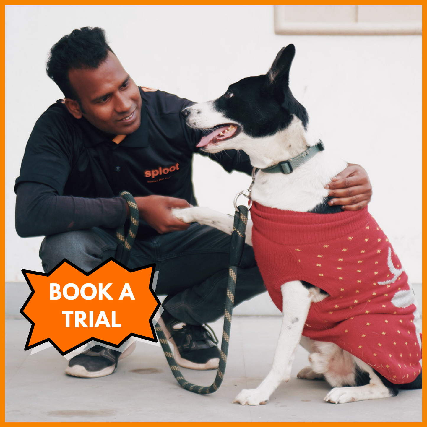 Dog Walking | Book a Trial Walk (Delhi NCR)