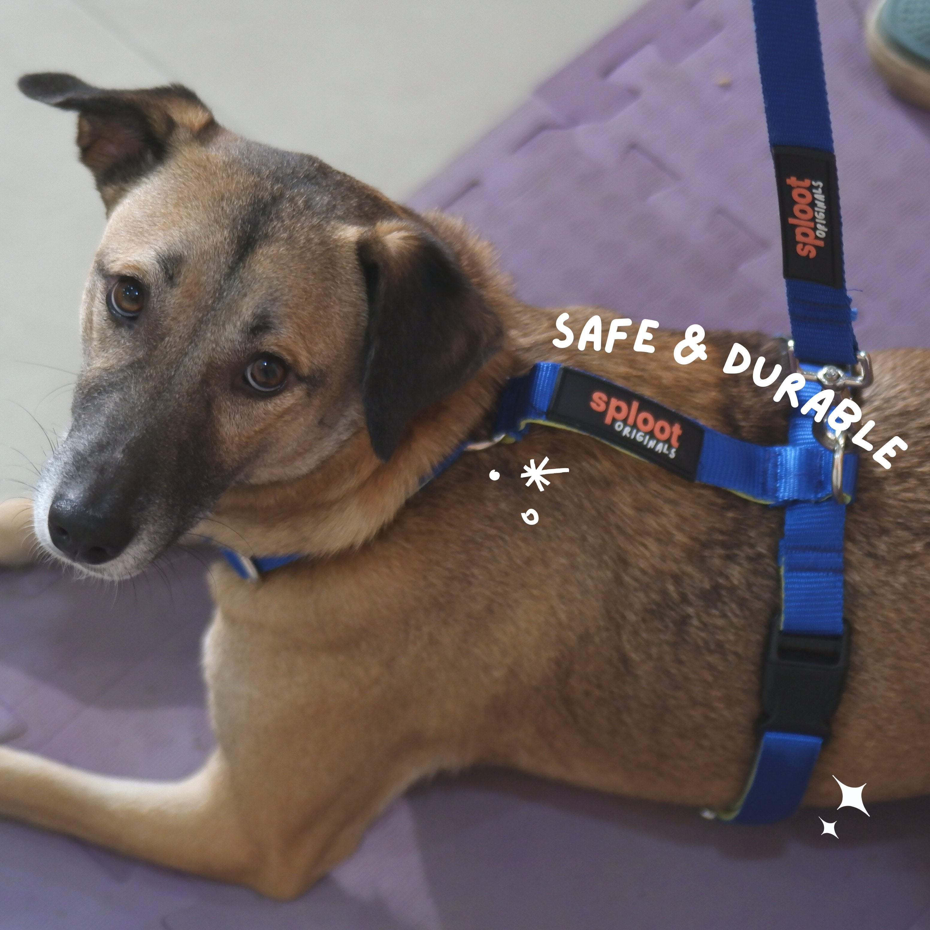 Petlife roadie clearance harness