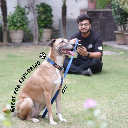 Accessories | Sploot Originals - Long Leash for Dogs - Sploot