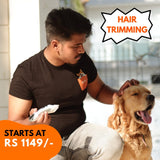 Calendar test- Dog Grooming | Routine Bathing and Hair Trimming- - Sploot