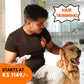 Dog Grooming | Hair Trimming (Delhi NCR Only) - Sploot