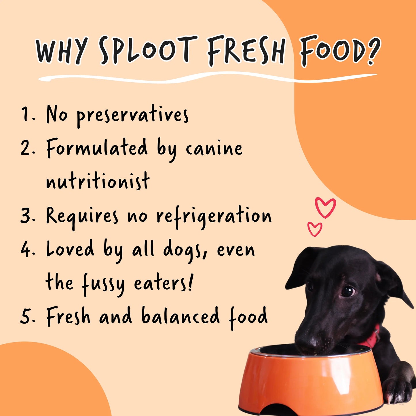 Fresh Dog Food Subscription | sploot Meals - Sploot