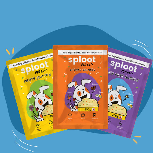 Fresh Dog Food | Taster/ Mixed Bundle Pack - Sploot