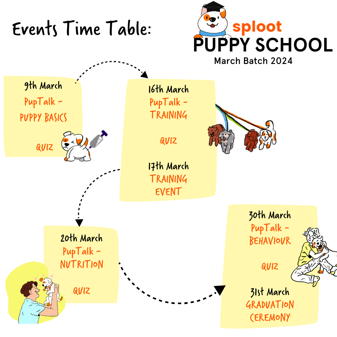 Puppy School | March 2024 - Sploot
