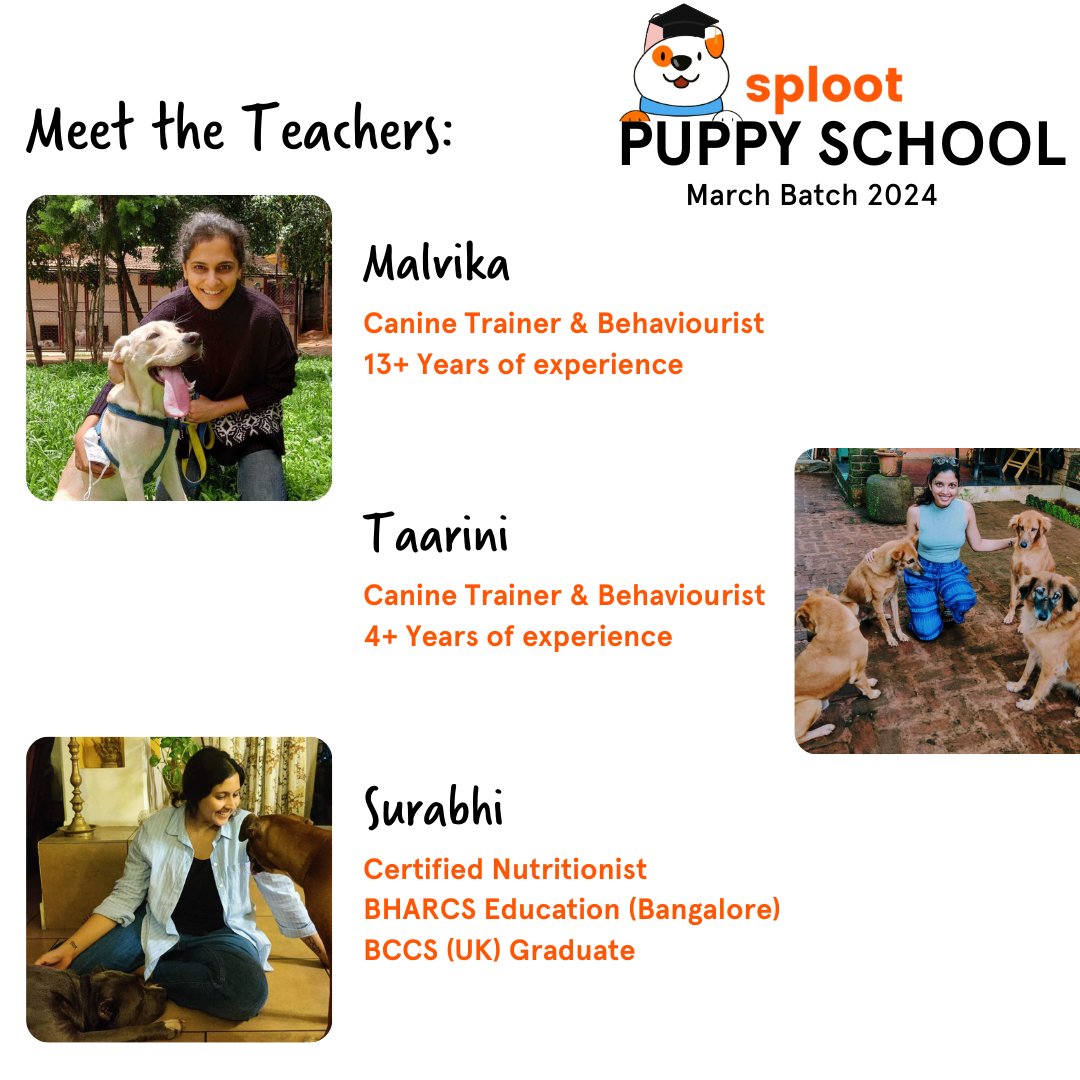 Puppy School | March 2024 - Sploot