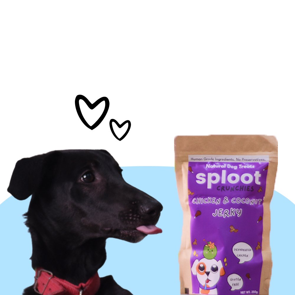 sploot Crunchies Chicken and Coconut Jerky | 100% Natural Dog Treats - Sploot