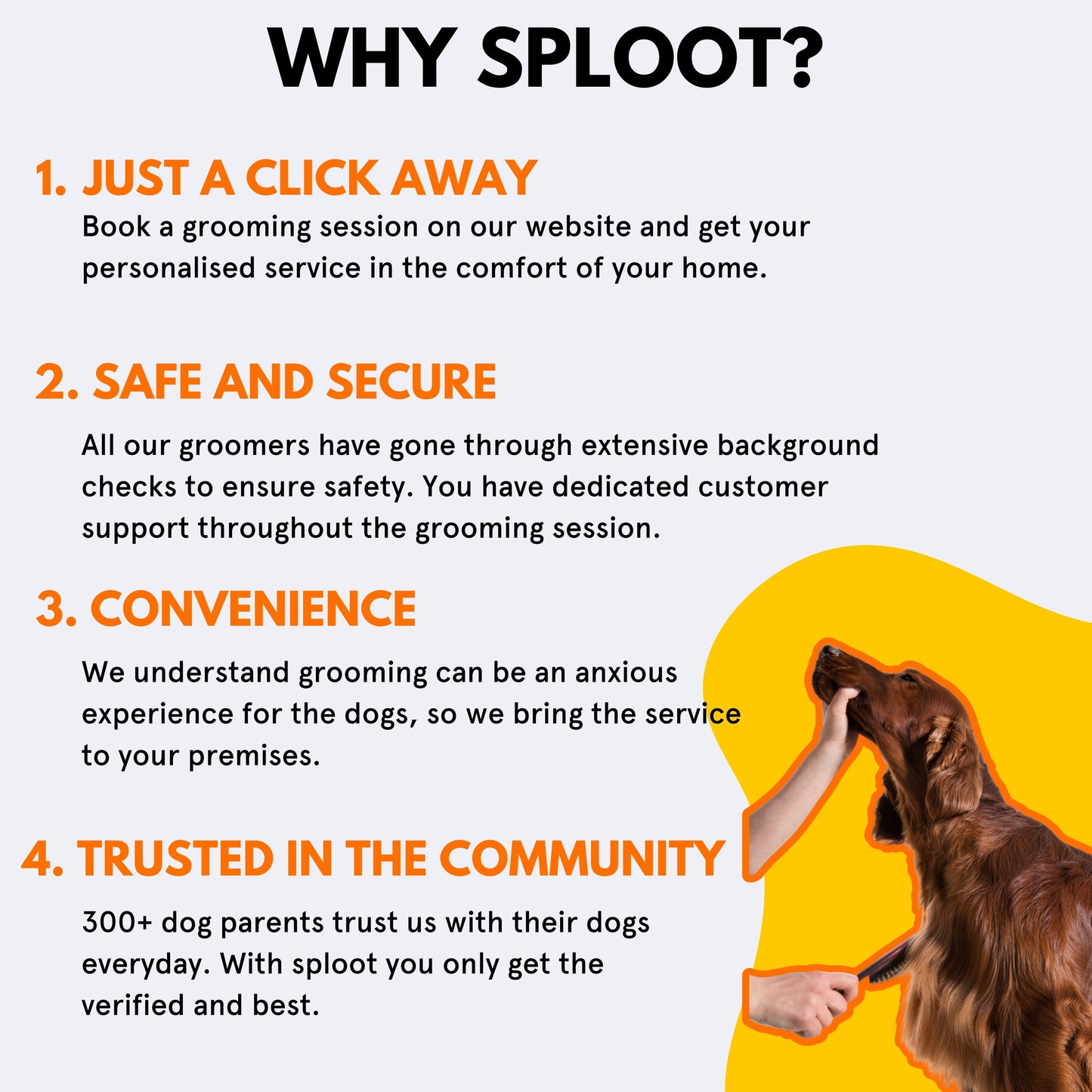 Sploot Grooming Services ( only in Gurgaon ) - Sploot