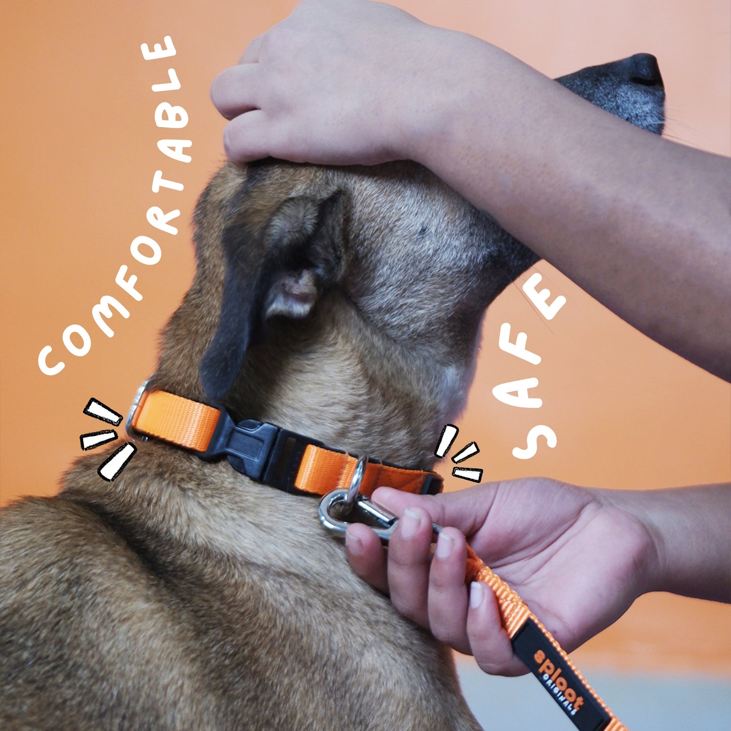 Sploot Originals - Collar - Orange and Black - Sploot