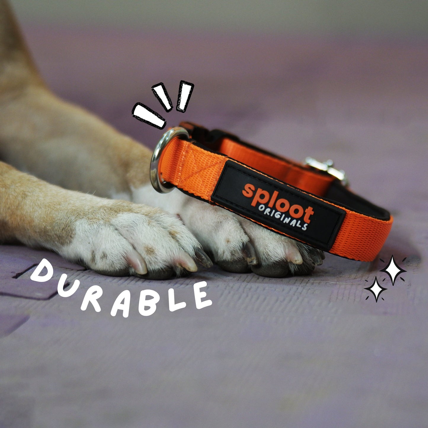 Sploot Originals - Collar - Orange and Black - Sploot