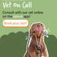 Vet on Call | Online Vet Consultation - Sploot